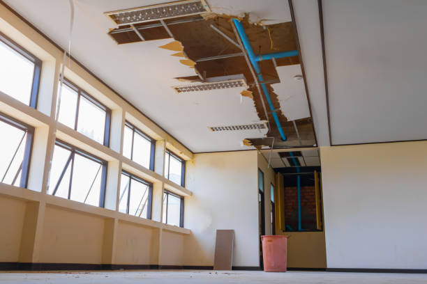 Best Water damage cleanup near me  in Curwensville, PA