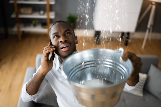 Best Carpet water damage restoration  in Curwensville, PA