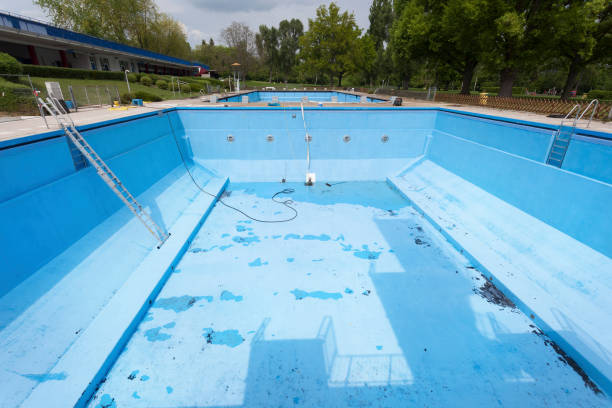 Best Mold removal after water damage  in Curwensville, PA