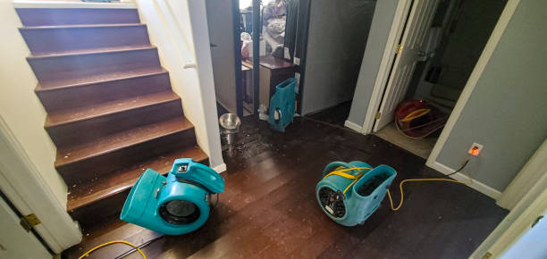 Best 24/7 water damage repair  in Curwensville, PA