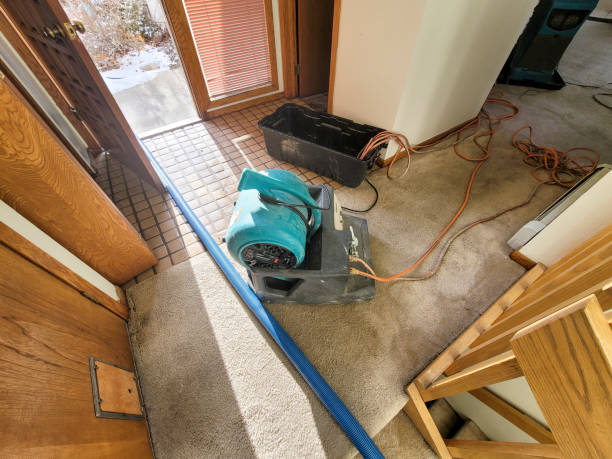 Best Flood restoration services  in Curwensville, PA