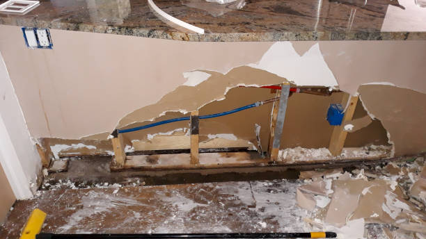 Best Residential water damage restoration  in Curwensville, PA