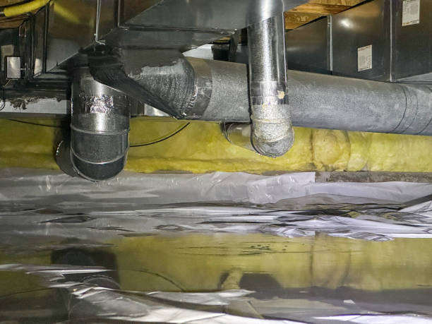 Best Water damage mitigation services  in Curwensville, PA